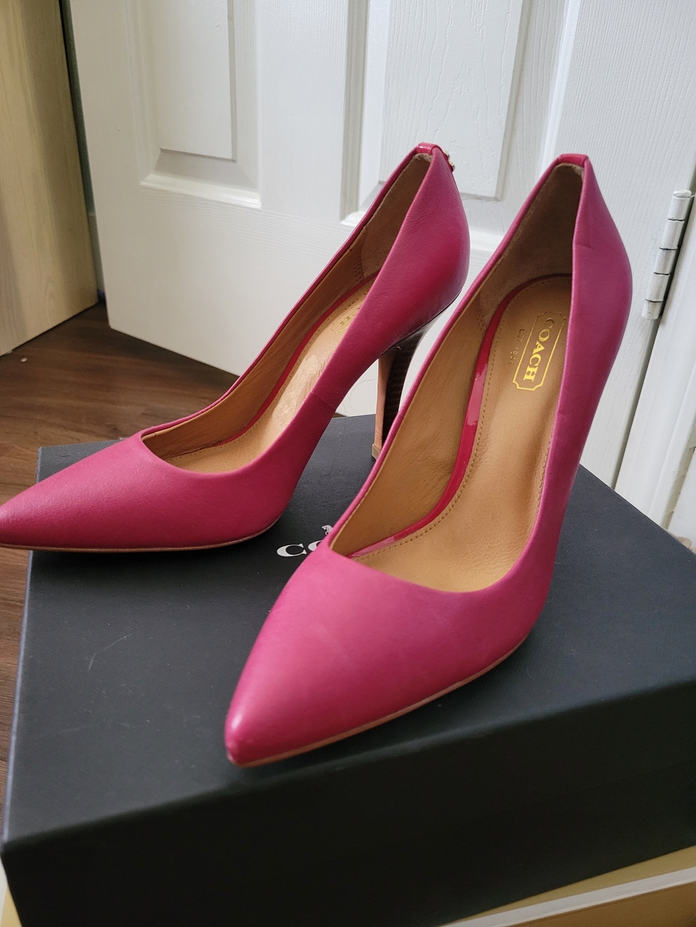 Coach Fuchsia Pointed-Toe Leather Stiletto Pumps
